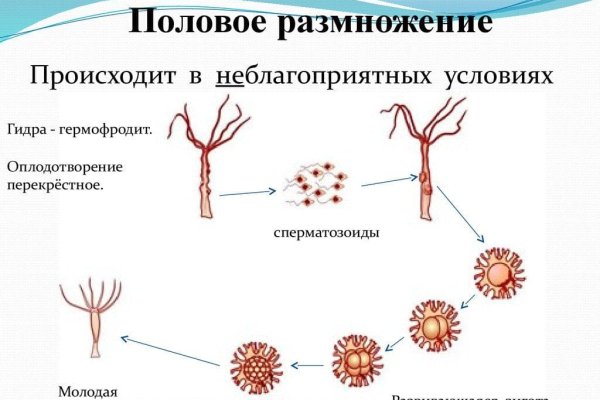 Кракен не заходит
