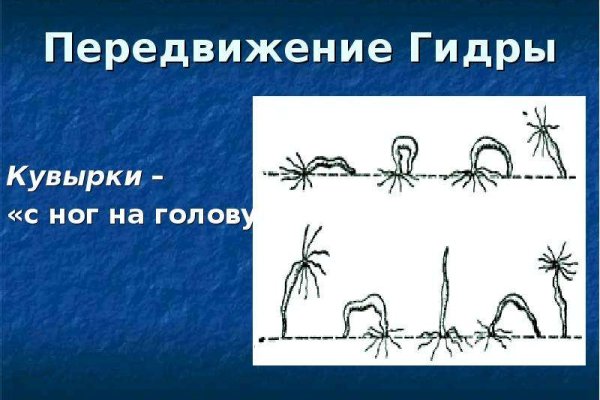 Kraken что это за сайт