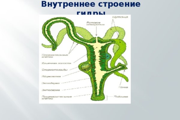 Кракен ссылка 2 веб